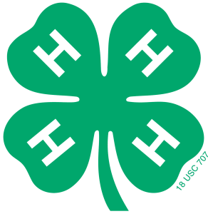 New 4-H Family Fair Orientation